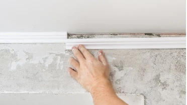Handyman pushing a piece of crown molding into place for trim repair in Wichita