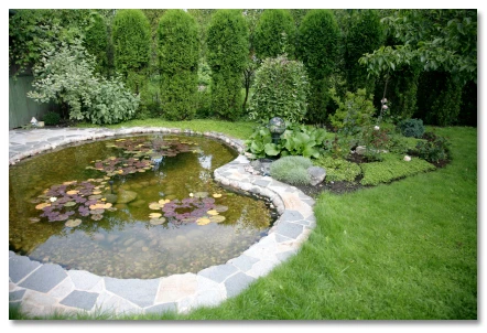 yard with pond