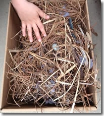 Bird Nest found in a Dryer Vent