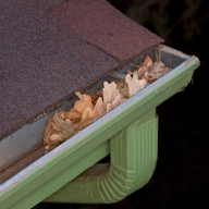 gutter filled with leaves