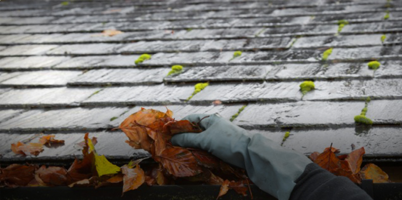 Hand pulling autumn leaves out of a rain gutter