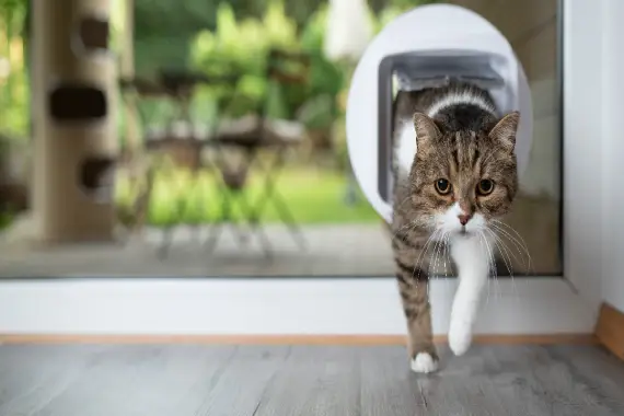A cat walking through a small cat flap installed in a sliding glass door with professional services for pet door installation in Lehi, UT.