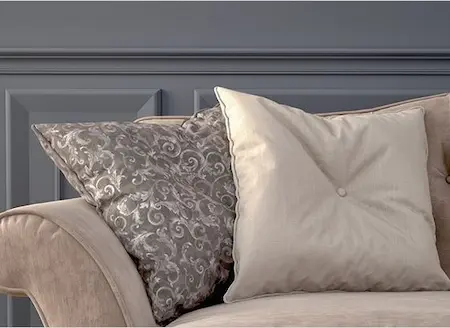 two decorative pillows on a couch