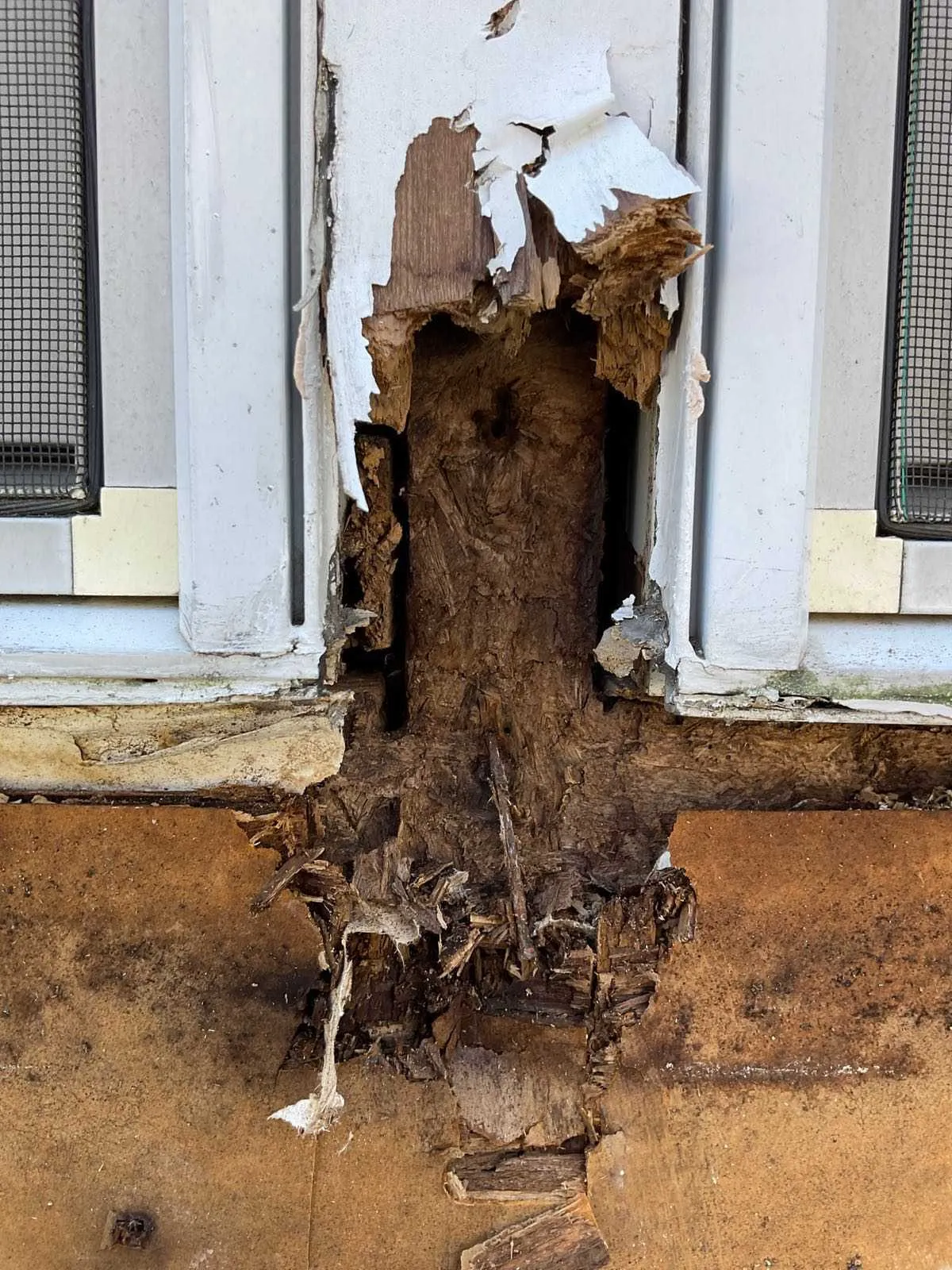Severe wood rot on the exterior of a window frame.