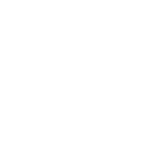 Chat icon