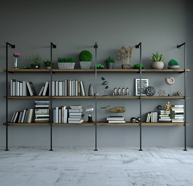 Organized bookshelves on a plain wall.