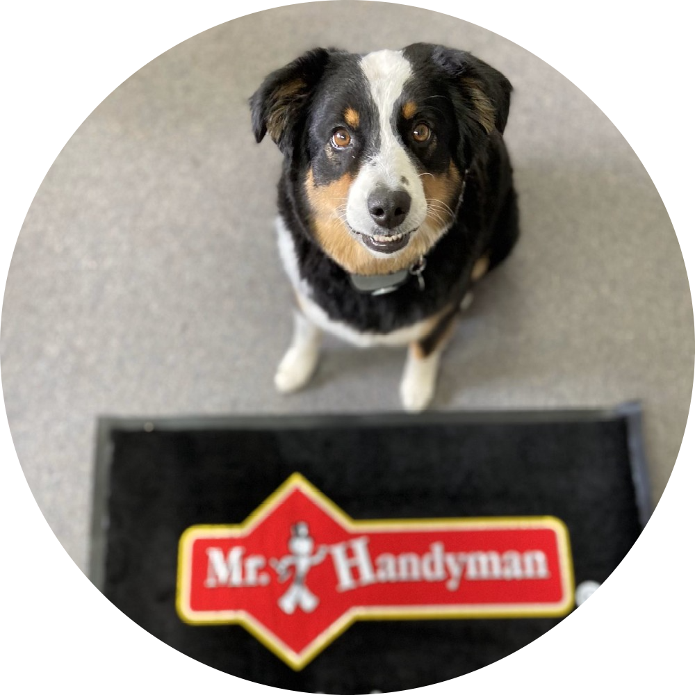 How can Mr. Handyman serve you?