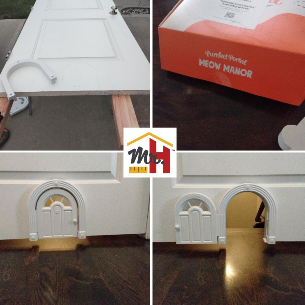 Cat Door Installation