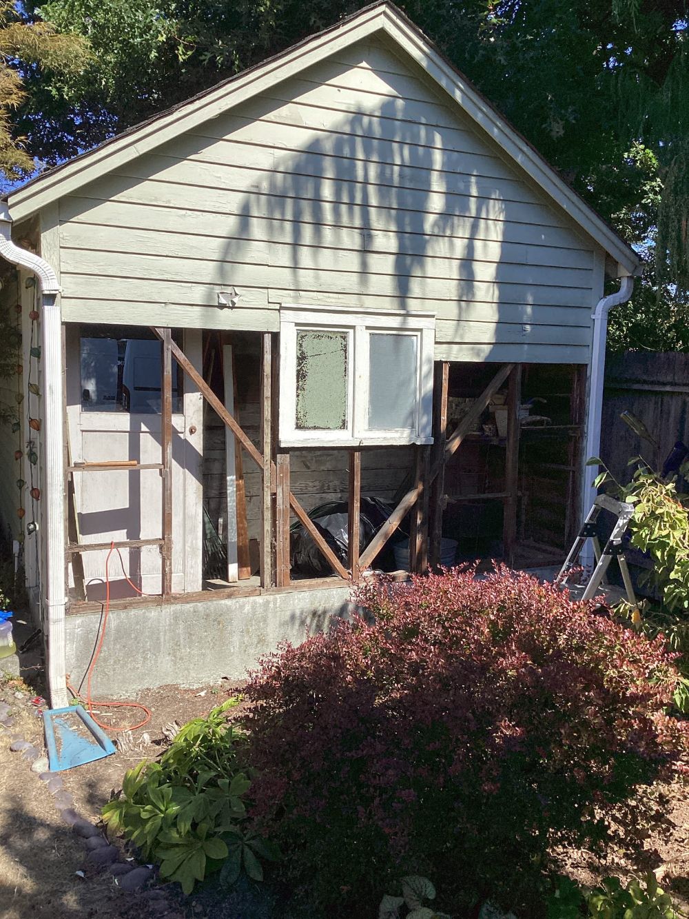Demolished shed wall