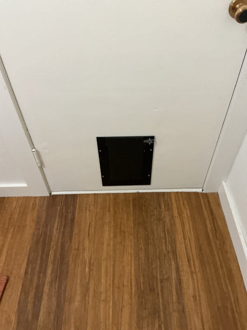 New Dog Door Installation