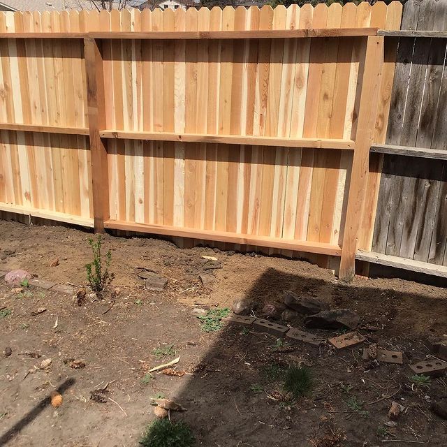 New fence.