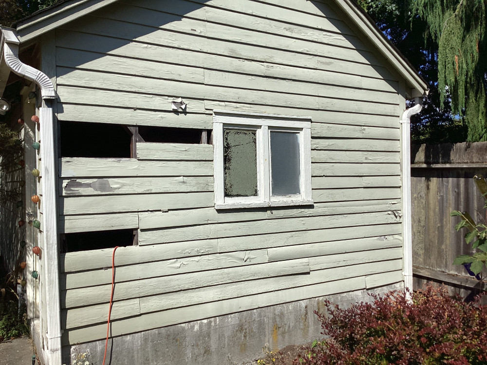 Rotted shed siding