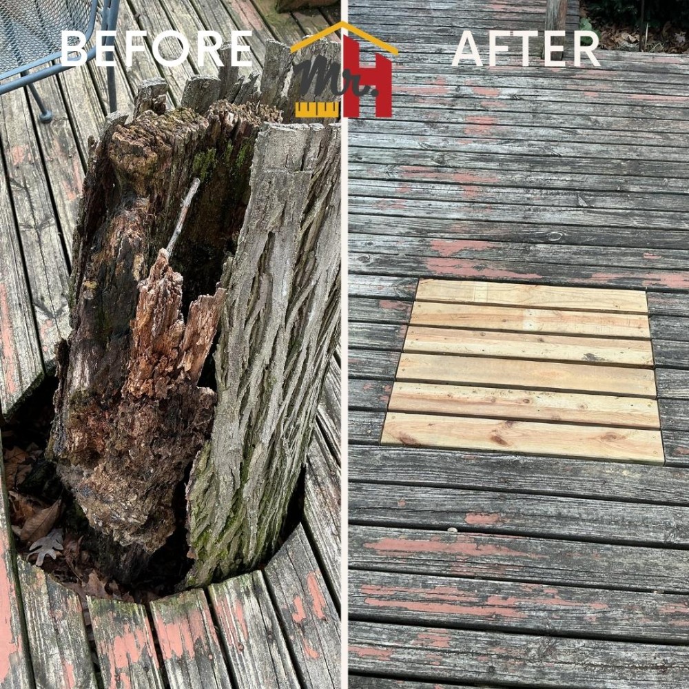 Tree Stump Removal