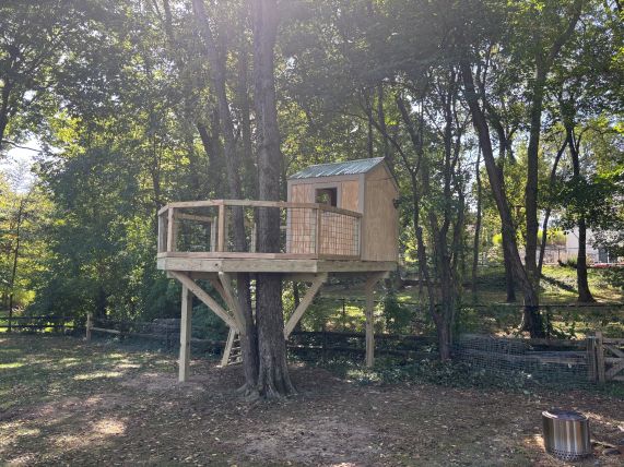 Treehouse Build in Carmel