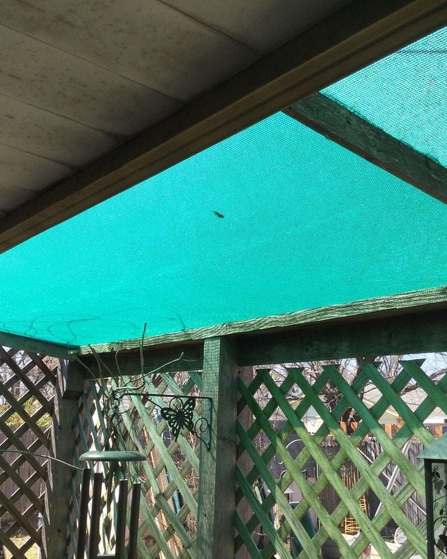 cover over a patio