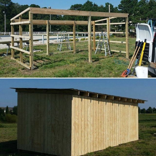 Shead before and after