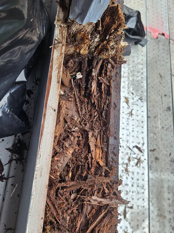 Severe wood rot damage on the exterior of a house.