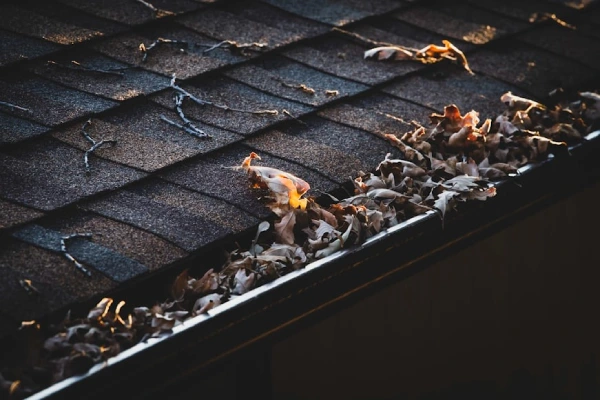 The gutter is full of leaves and debris.