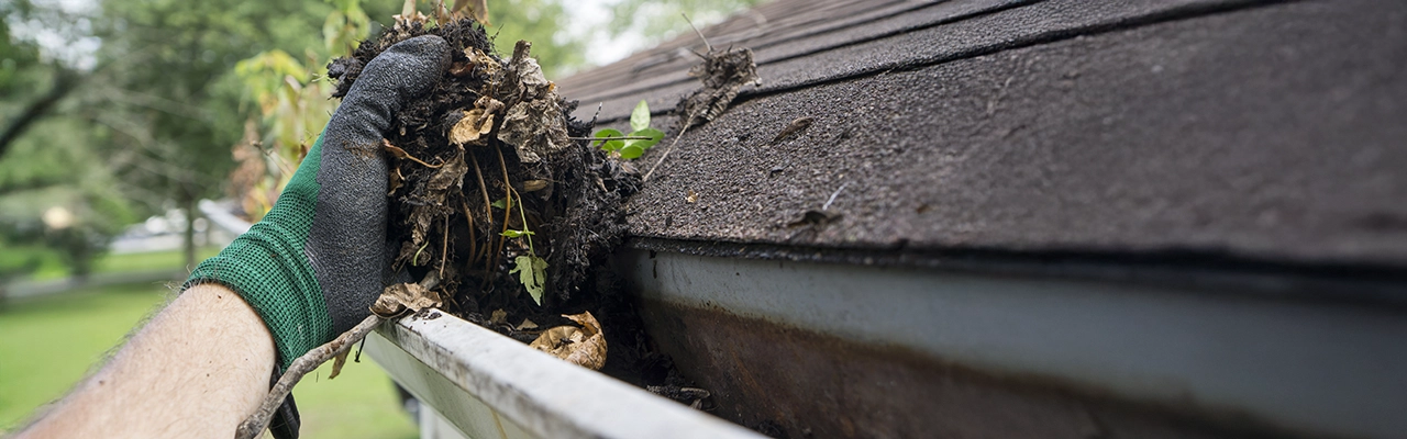 My Handyman professional cleaning debris from a house gutter.