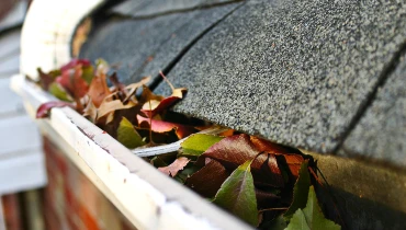 Gutters on a residential roof that need gutter cleaning for a buildup of leaves stuck inside them