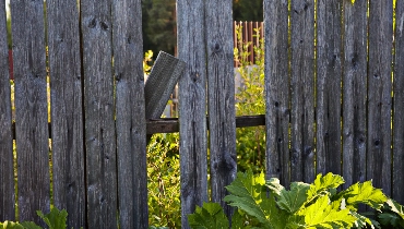 An old fence, with weathered, worn pickets and leaning posts that are in need of professional fence repairs.