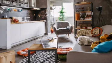 A small white dog sits on the couch in a compact studio apartment that is filled with clutter.