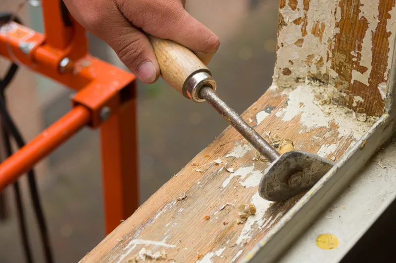 Professional repairing wood rot