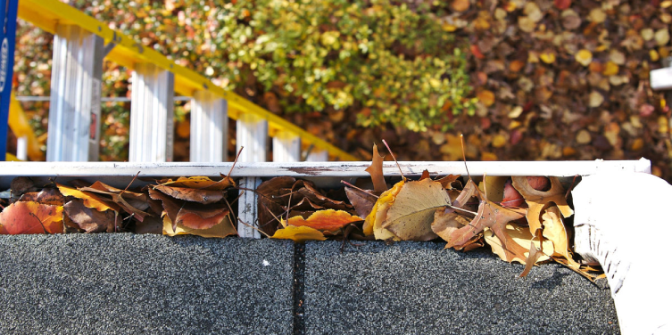 A gutter downspout connected to a section of gutters along a roofline that is clogged with leaves.