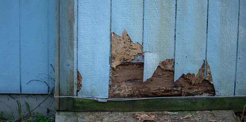 Blue siding on a residential home that has been cracked and broken away at the bottom and must be fixed with siding repair service.