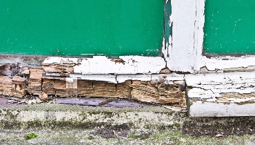 A close up image of the bottom of a window frame with extensive wood rot that requires Walpole wood rot repair services.
