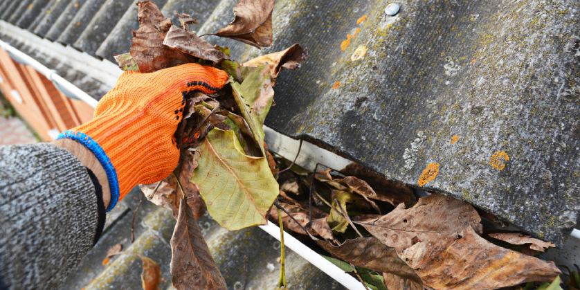 A gloved hand pulling leaves out of a gutter to complete gutter cleaning along a residential roof.