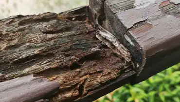 A rotten piece of wood used for a railing that requires wood rot repair services.