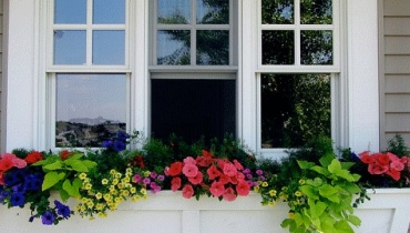 White trim window with flower box