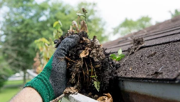 gutter cleaning