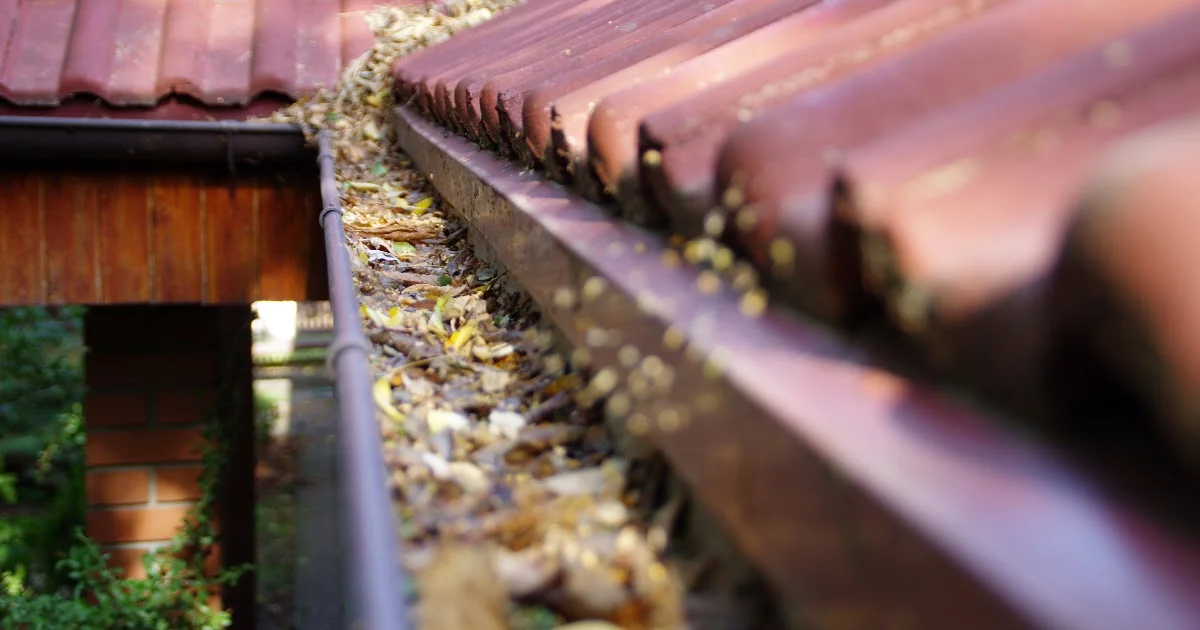 Gutters full of leaves and debris waiting to be removed by gutter cleaning.