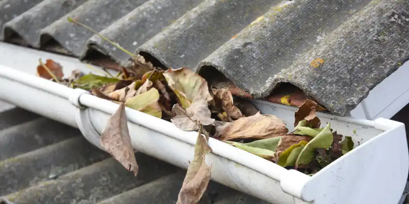 A clogged gutter full of dead leaves and other debris that can be cleared with gutter cleaning service.