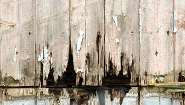 Wood rot damage on wooden boards.