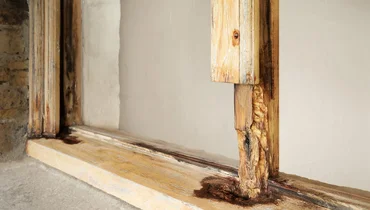 The bottom section of a wooden window frame with several areas damaged by moisture and wood rot.