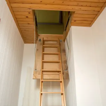 An open attic with an extended ladder.