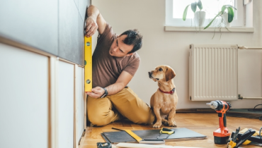 Man doing renovation work at home with small yellow dog watching.