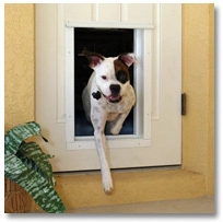 Pet-Door