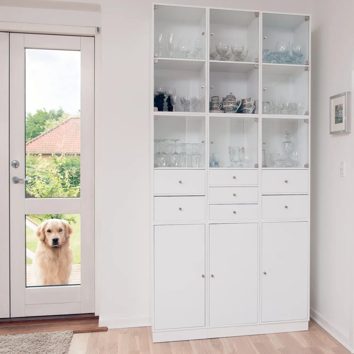 A golden retriever looks through a glass door into a house with white walls and white cabinets.