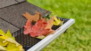 Close-up of autumn leaves in residential gutter.