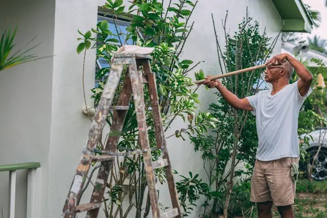 A man paints a house with a long-handled brush.