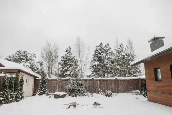 A backyard with snow on the ground surrounded by a wooden fence. In the backyard, two children lay in the snow staring at the sky.