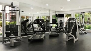 Gym equipment assembly.