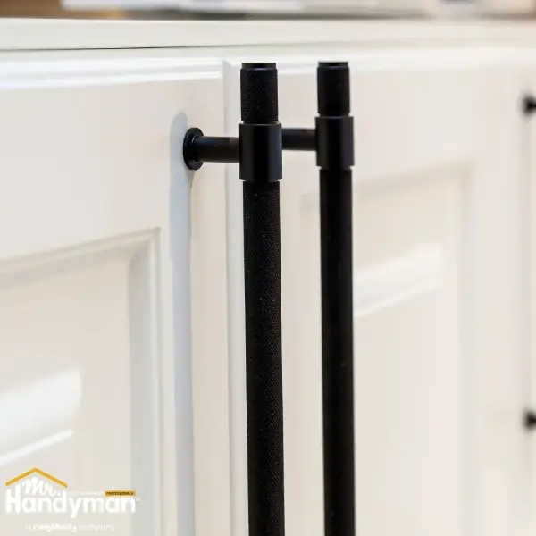 Modern interior cabinet door .