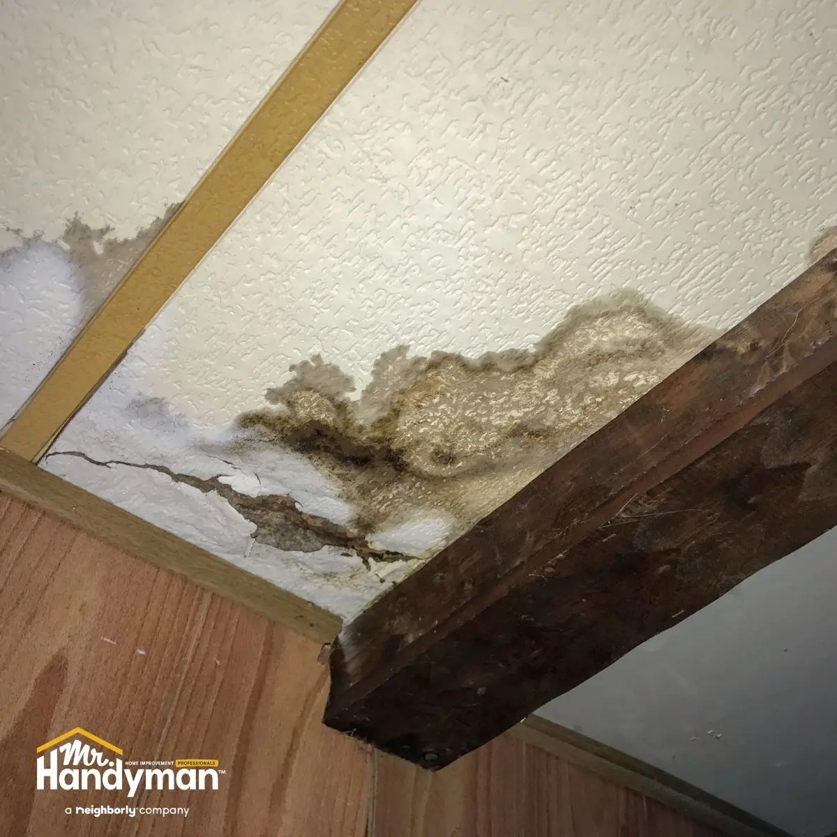 Water-damaged ceiling with brown stains.