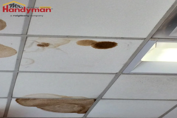 A section of a commercial ceiling with large brown stains and discoloration on the tiles, likely caused by water damage.