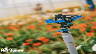 Close-up of a blue and black garden sprinkler.